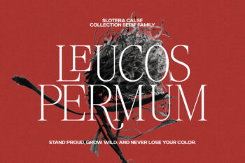 Elegant Family Serif