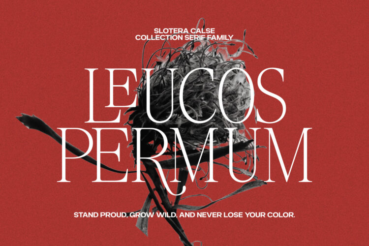 Elegant Family Serif