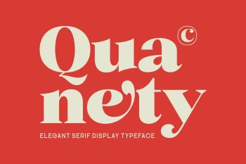 elegant serif display typeface