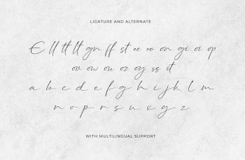 script font