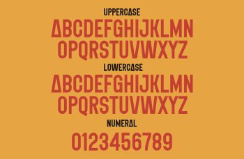 Classic Sans Serif Font