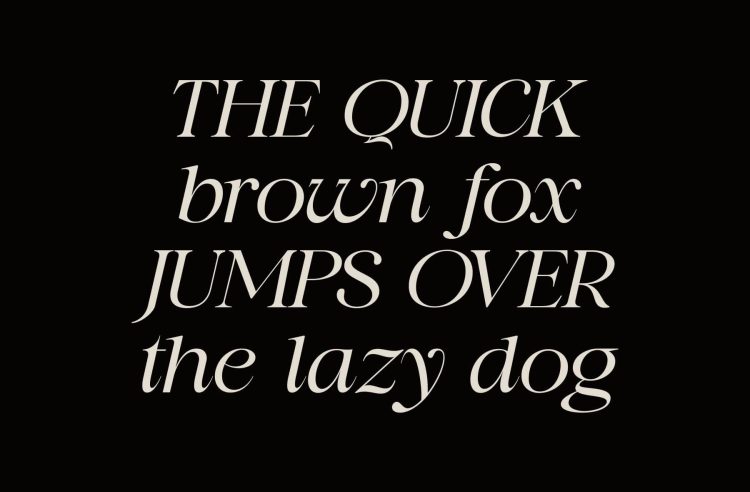 Classic Serif Display Font