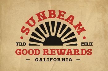 Classic Serif Western Font