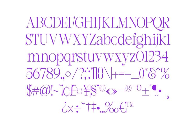 Compact Serif Font