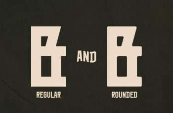 Display Sans Font
