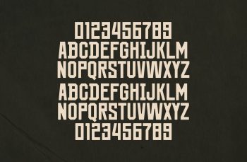 Display Sans Font