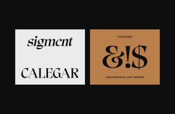Display Serif Font