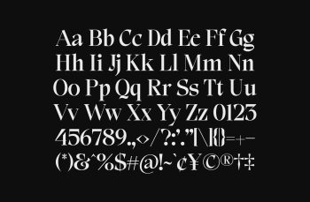 Display Serif Font