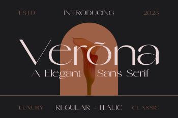 elegant sans serif