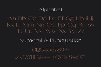 elegant sans serif