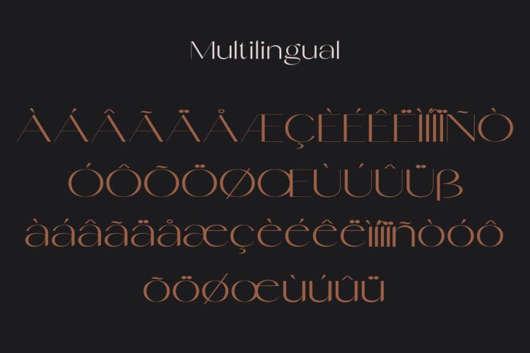 elegant sans serif