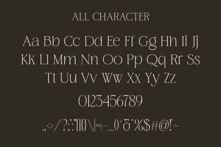 modern dispaly font