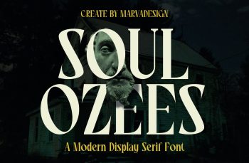 modern display serif font