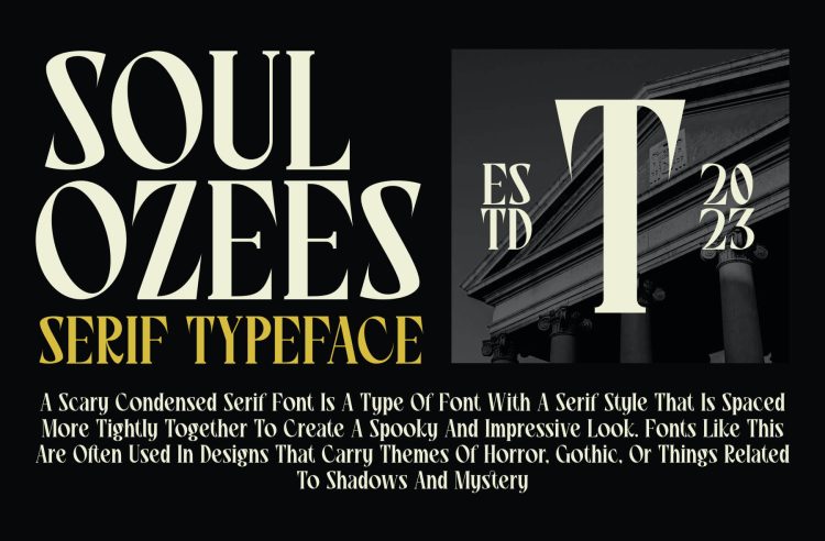 modern display serif font