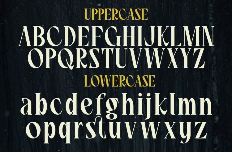 modern display serif font