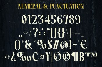 modern display serif font