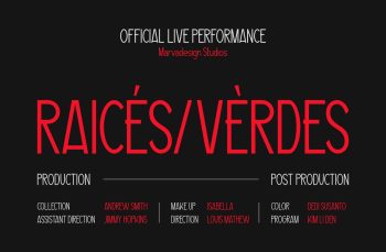 Modern Sans Serif Typeface