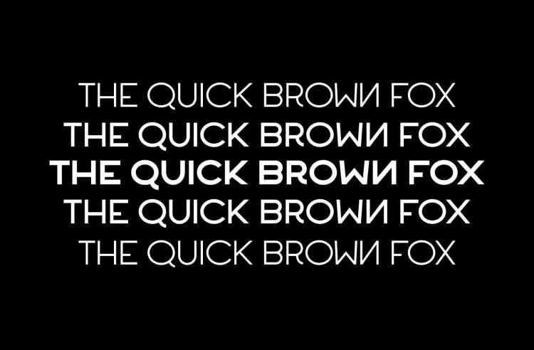 Sans Serif Font Family