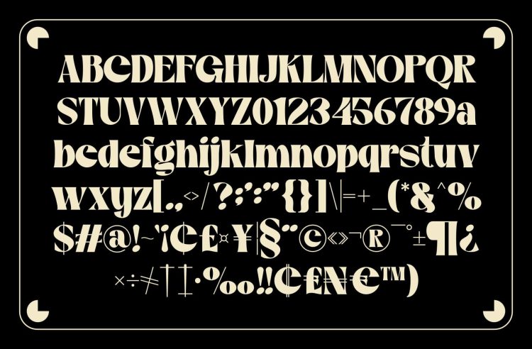 Serif Display Font