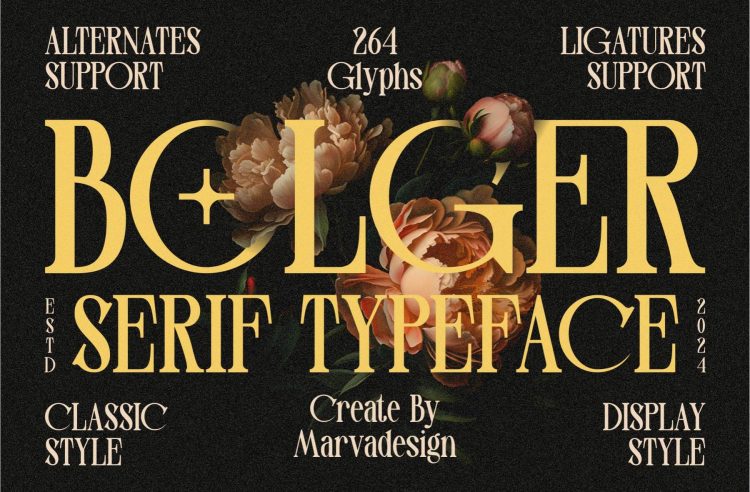 Serif Display Font