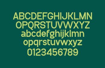 Versatile Sans Serif Font