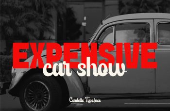 Modern Script Typeface