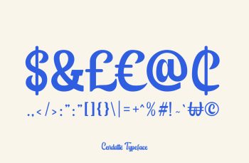 Modern Script Typeface