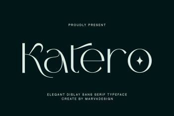 Elegnat Sans Serif Typeface