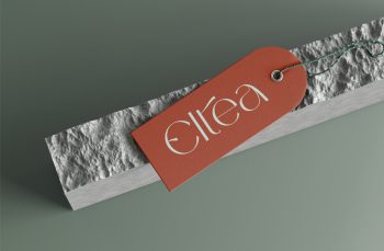 Elegnat Sans Serif Typeface