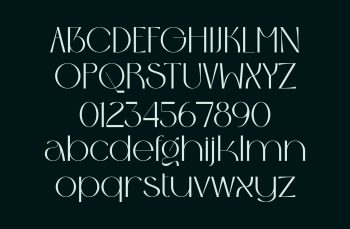 Elegnat Sans Serif Typeface