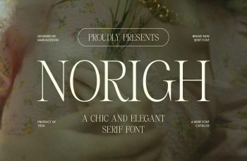 Elegant Serif Typeface