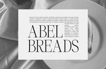 Elegant Serif Typeface