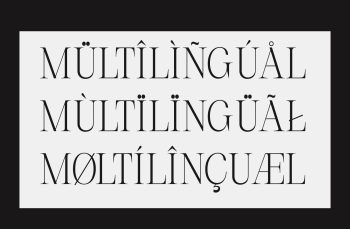 Elegant Serif Typeface