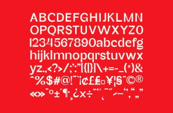 Modern Sans Serif Typeface