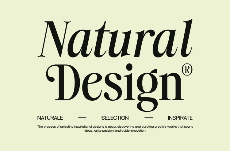 Elegant Serif Typeface