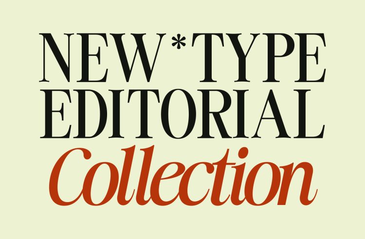 Elegant Serif Typeface