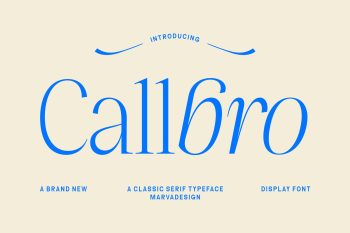 Elegant Serif Typeface