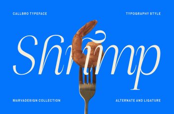 Elegant Serif Typeface
