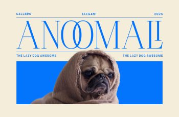 Elegant Serif Typeface