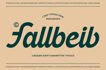 Modern Script Typeface