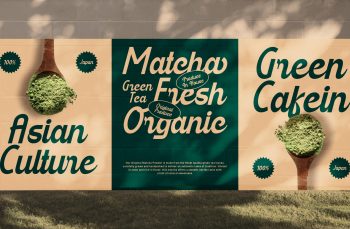 Modern Script Typeface