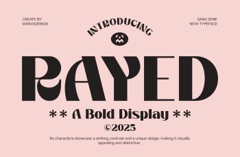 bold display typeface