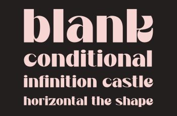 bold display typeface