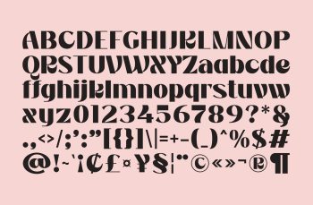 bold display typeface