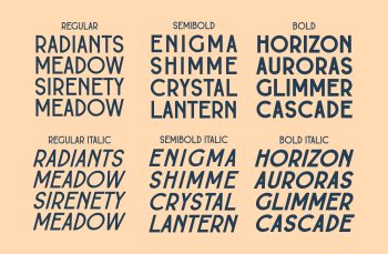 Classic Family Sans Serif