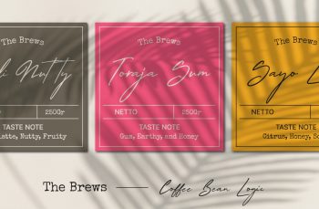elegant script typeface