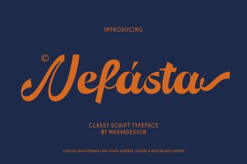 Classy Script Typeface