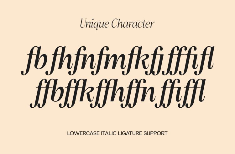 elegant--familt-serif-typeface