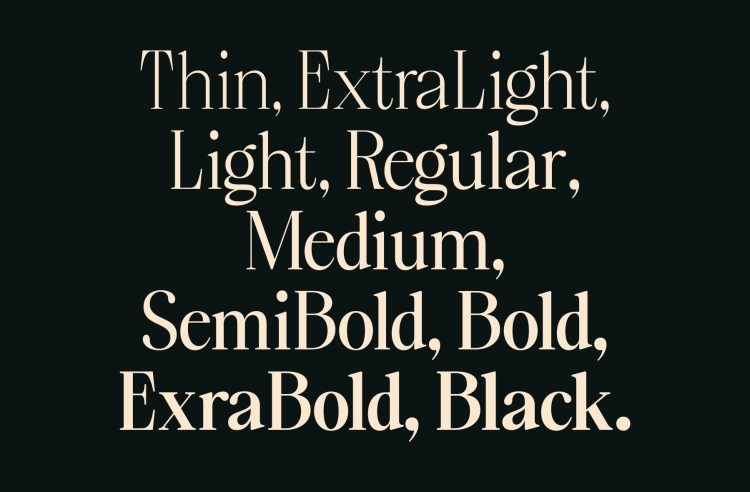 elegant--familt-serif-typeface