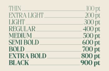 elegant-family-typeface